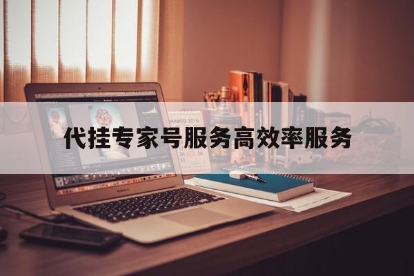 代挂专家号服务高效率服务，代挂专家号服务高效率服务是什么