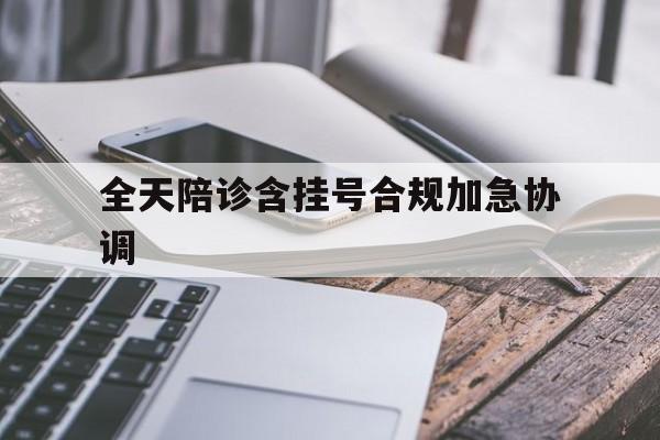 全天陪诊含挂号合规加急协调的简单介绍